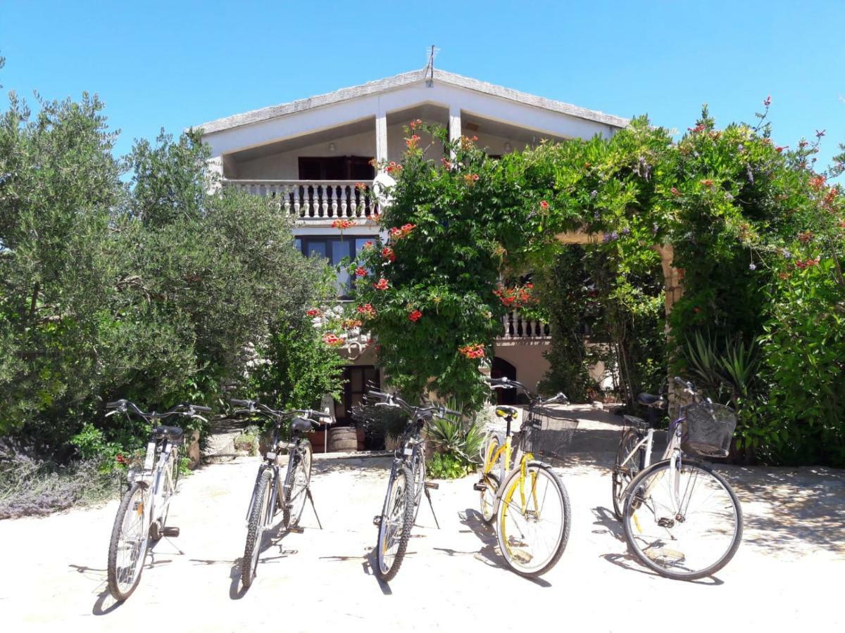 Apartments Marinka Biograd Na Moru Exterior foto